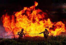 Two firefighters work hard to stop California wildfires. 