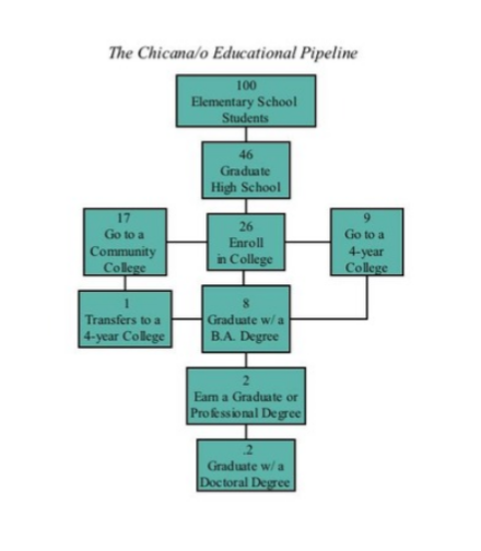 Expected Educational Timeline 