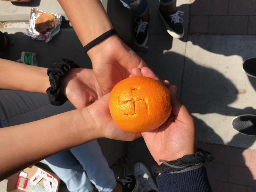Five high school student holding an orange with the swastika engraved in it. This begs the question have OC students embraced the ideas of Nazism?
