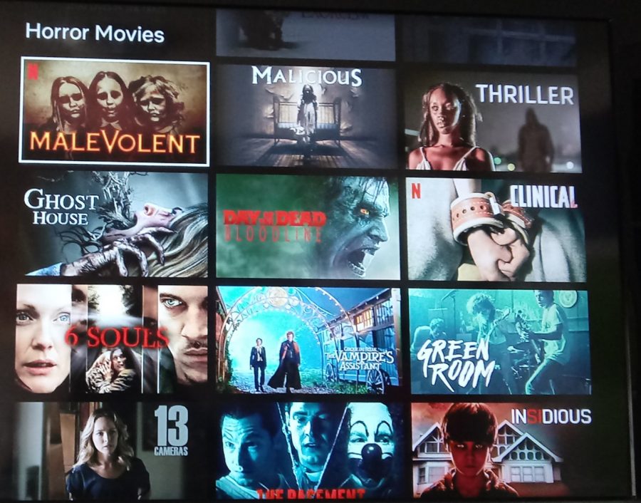 The streaming service Netflix offers a variety of horror movies for viewers to enjoy, including Netflix Original Movies.