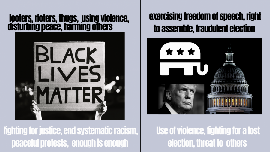 Graphic discusses contrasting views on the BLM Movement protests and Capitol riots. 