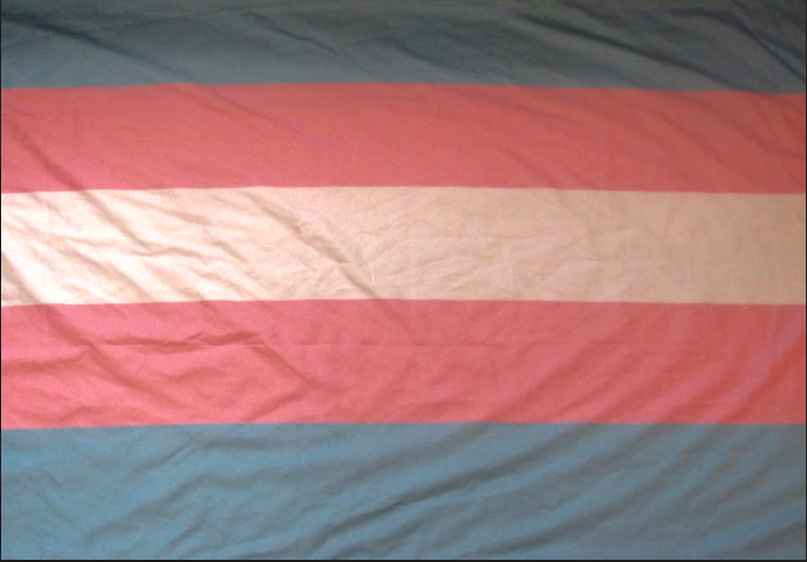 The transgender pride flag fills the frame with its colors of blue, pink and white.