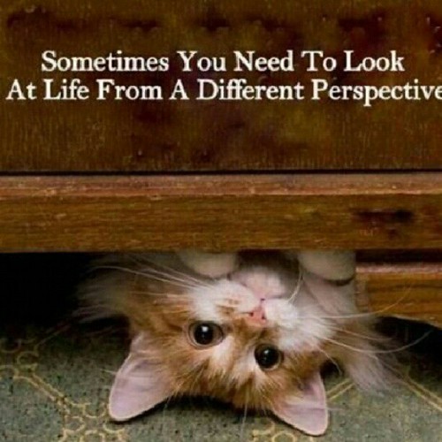 Looking at life from a different and happier perspective rather than a negative one will improve your mental health.