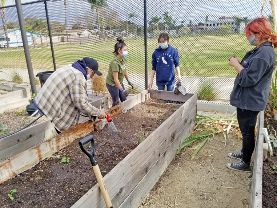 Community members gather at Roosevelt Walker Garden to water the growing plants.
