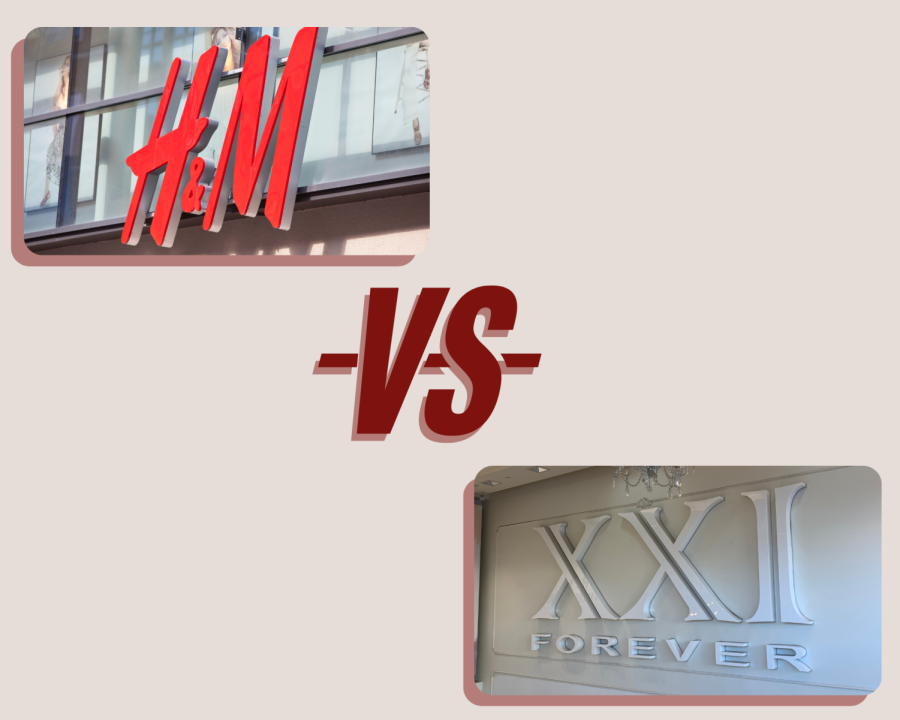 The sustainability of large companies have always been questioned, especially H&M and Forever 21.