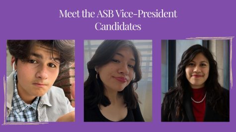 Anthony Ayala, Keyla Bautista, and Ruby Perez Ortega are the candidates running for vice-president. Make sure to vote for your favorite starting this week.