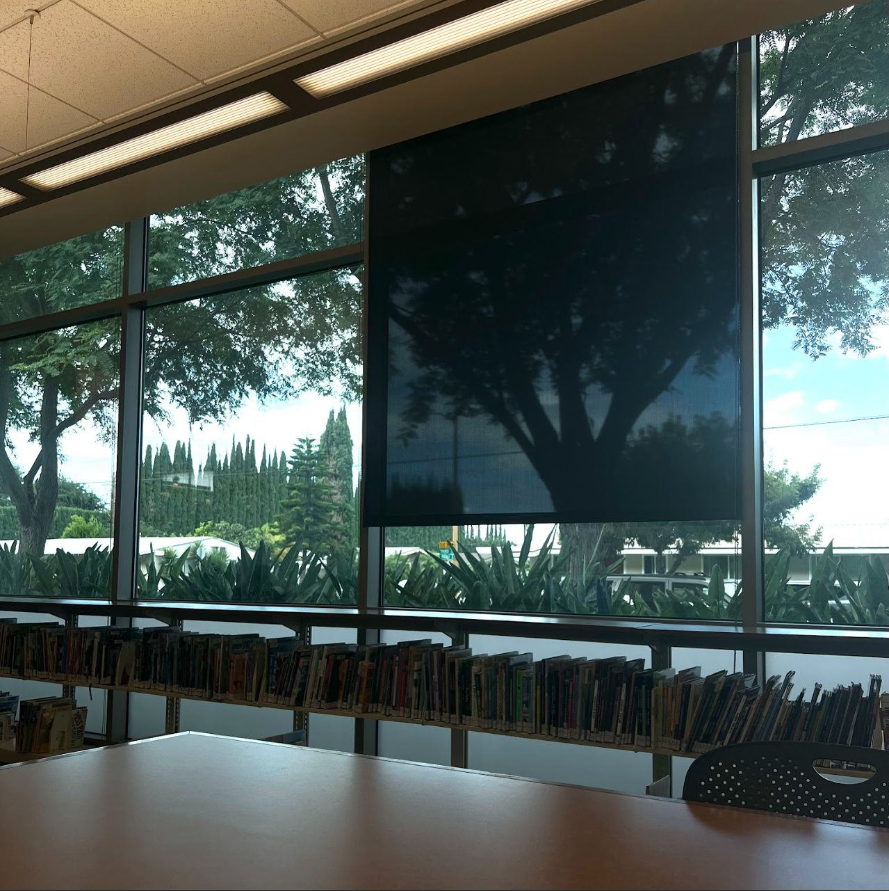 Natural light in a classroom setting greatly influences our mental well-being