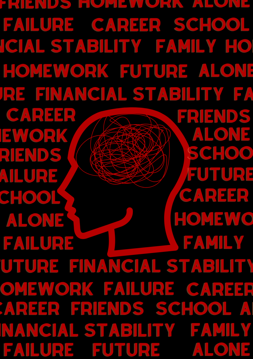 There are many things that young adults have to process that often cause these anxieties that add to the already present fears. From the survey I conducted, the words in the image are a couple of key terms that were prevalent in why students were fearful of their future.