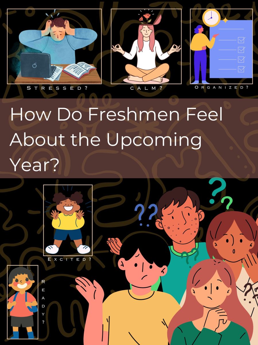 How are the freshmen feeling about the upcoming year? Are they stressed, calm, excited, organized, or ready for it?