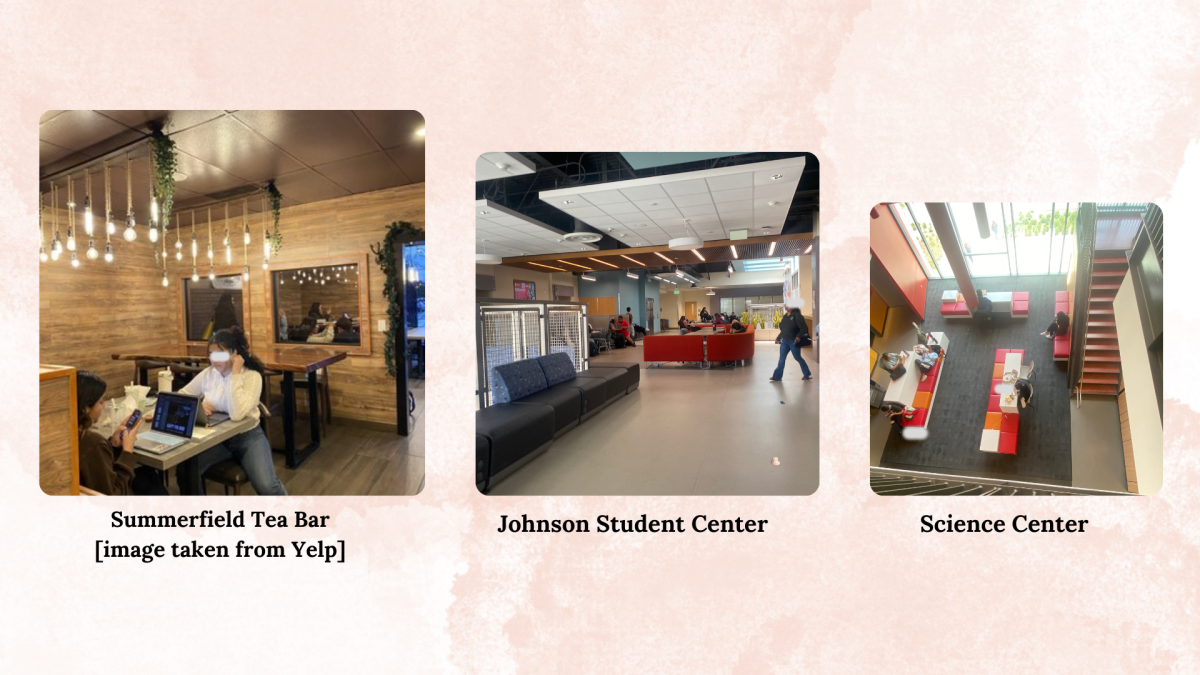 The+top+three+locations+that+students+use+to+study+are+Summerfield+Tea+Bar%2C+the+Johnson+Student+Center%2C+and+the+Science+Center.