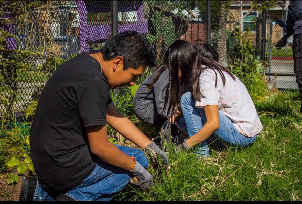 Seniors Anthony Nunez and Paola Sanchez are participating in community service for MCHS Key Club. 