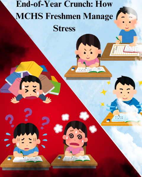 Examining how MCHS Freshmen manage their stress.