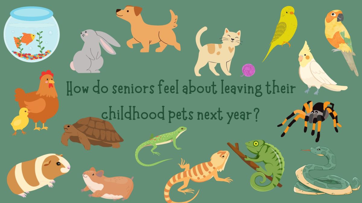 As seniors find themselves preparing to move on to the next step in their lives, they often find themselves facing a difficult step in their journey: saying goodbye to their childhood pets.
