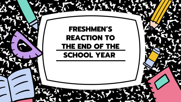 With the end of the school year approaching, many freshmen have mixed feelings about school year ending.