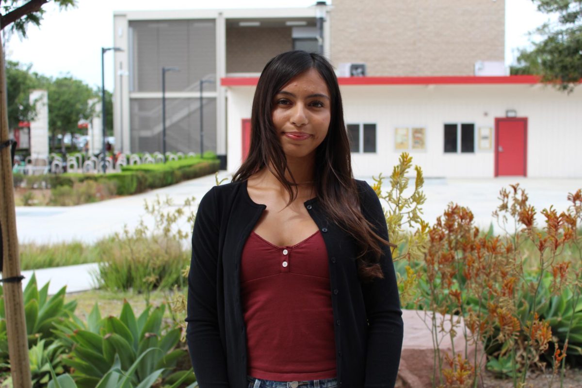 Daniella A. Bedolla