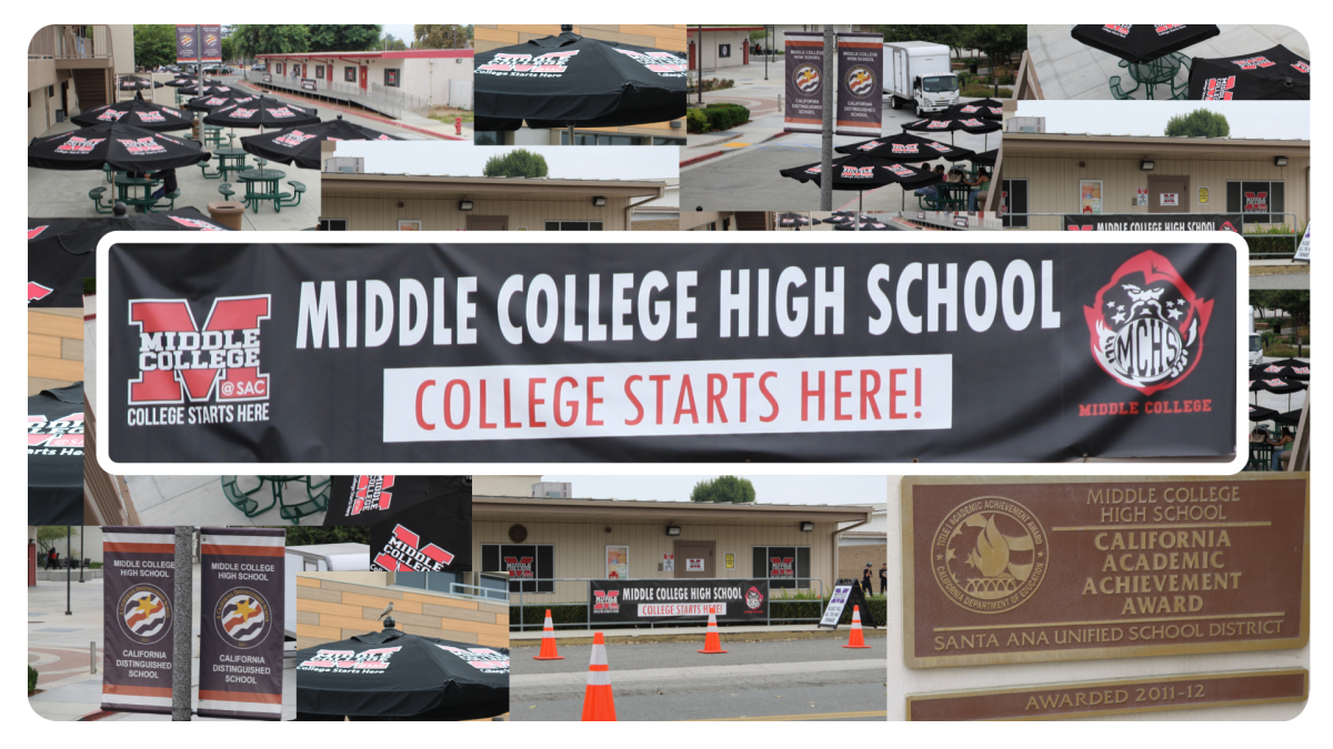 The past, present, and future of MCHS