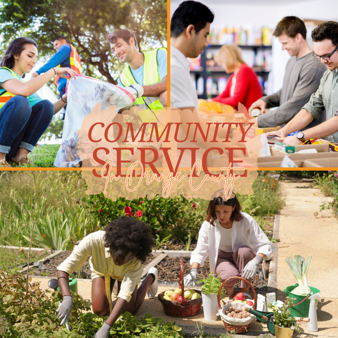 How volunteering is shaping Orange County