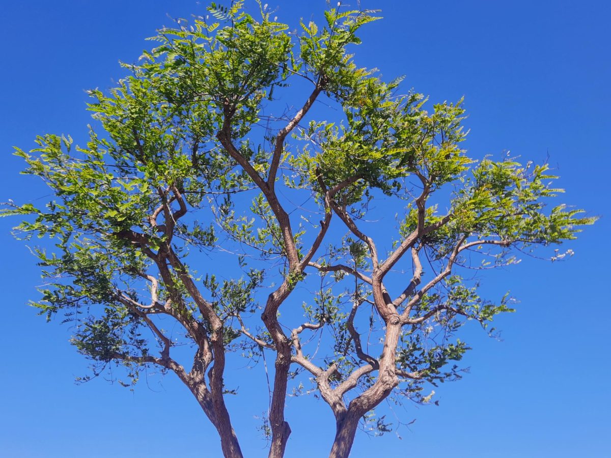 Existential nihilism may be harbored through rough experiences in life. When one goes through this experience, they tend to become overwhelmed in thought and agony. However, the most important thing to remember is to breathe, step back, and enjoy the smaller things in life, such as nature.